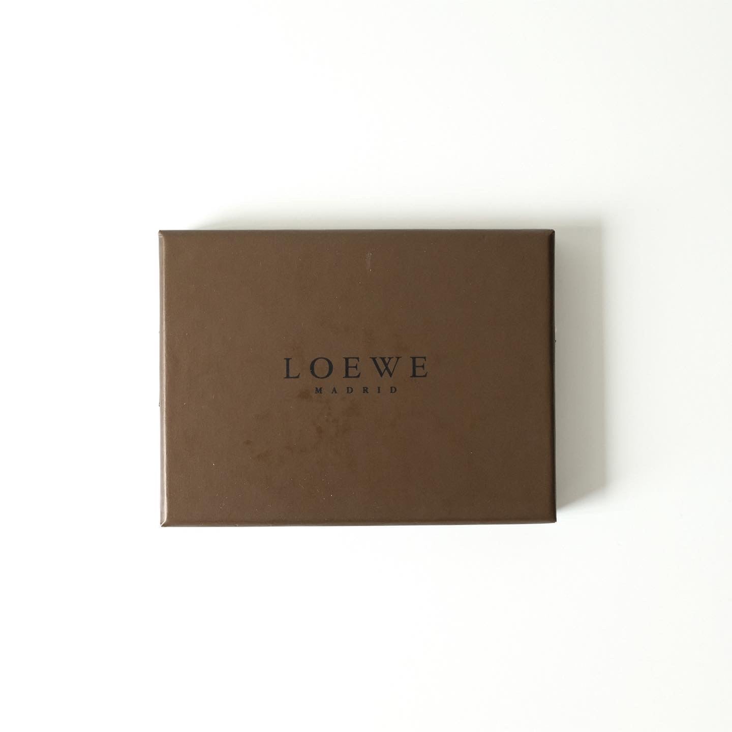 Vintage Loewe Passport Holder